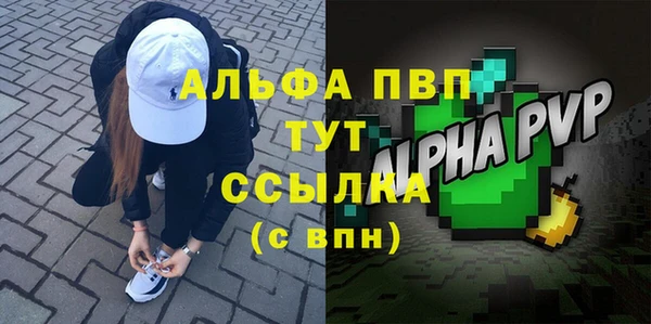 гидра Гусь-Хрустальный